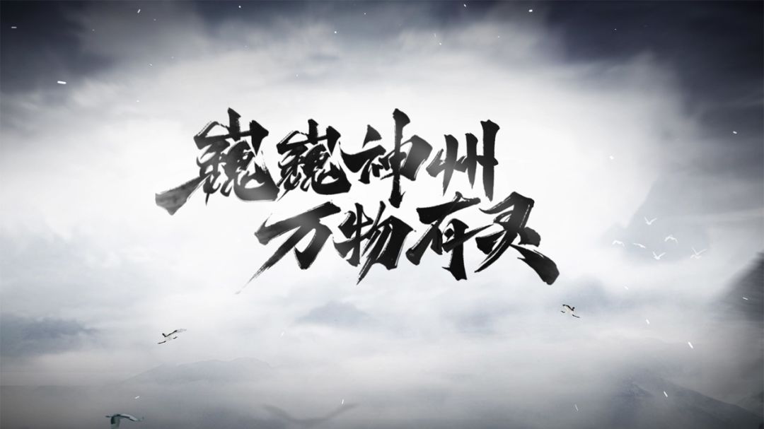 video-1952720