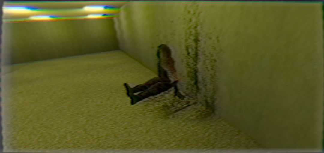 后室之声游戏截图