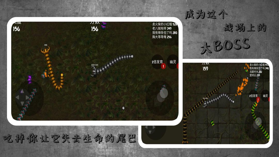 蛇蛇进化作战游戏截图