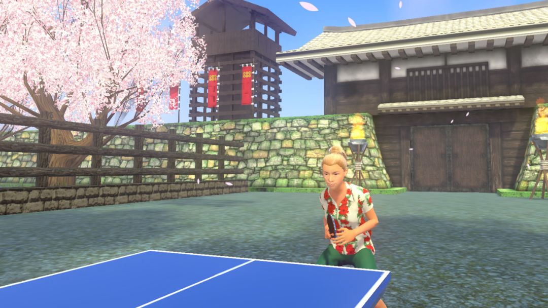 VR Ping Pong Paradise游戏截图