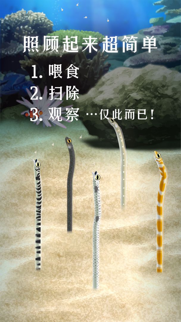 养育花园鳗的治愈游戏游戏截图