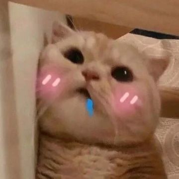 大神攻略丨配将体系详解（PVE篇）