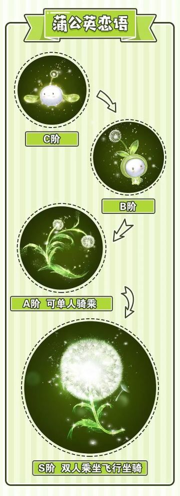 砰砰砰！初恋般的蒲公英萌宠，轰炸你的少女心！