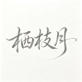 栖枝月的工作室