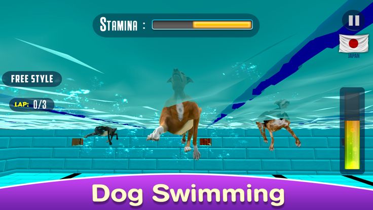 Dog Swimming Race游戏截图