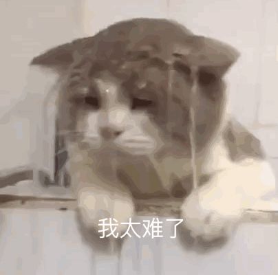 【盖楼挑战】春节怒怼三姨妈100楼截图
