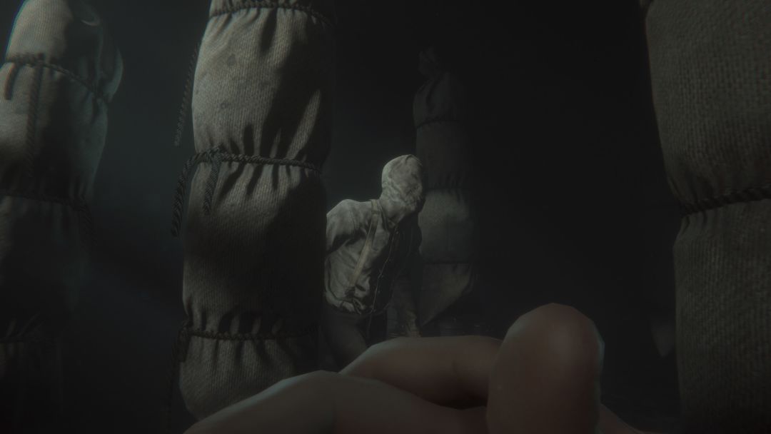 Maid of Sker游戏截图