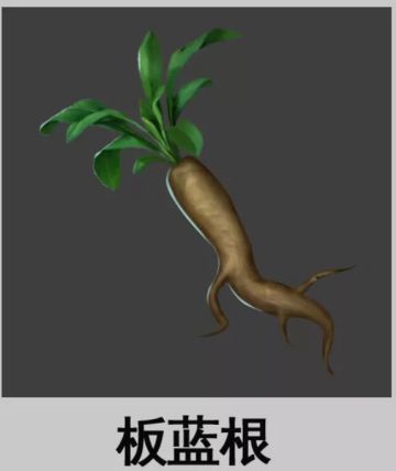 研发日志 | 第十二期：博物志系统首曝!新"姿势"get了吗