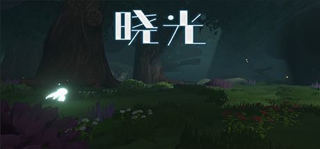 晓光 封面