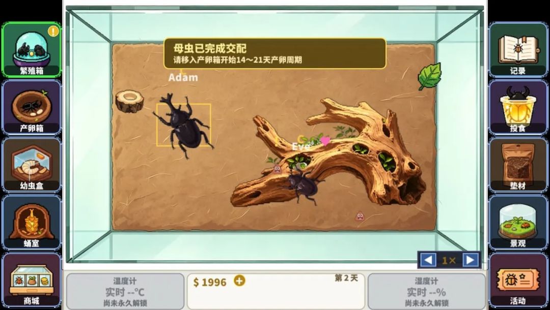 甲虫养殖大师游戏截图