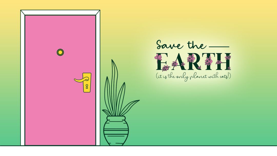 一栋满是猫的楼游戏截图