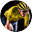 Pro Cycling Manager 2016icon