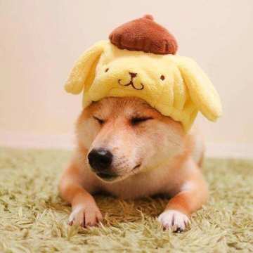 战歌大盘点 | 带你看看高颜值的棋盘、棋手和棋子