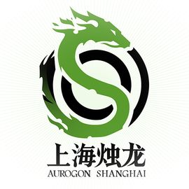 上海烛龙信息科技有限公司