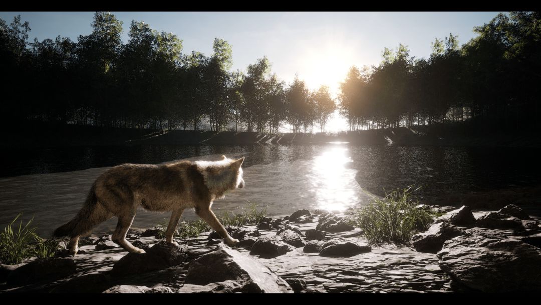 Untamed Kingdom游戏截图