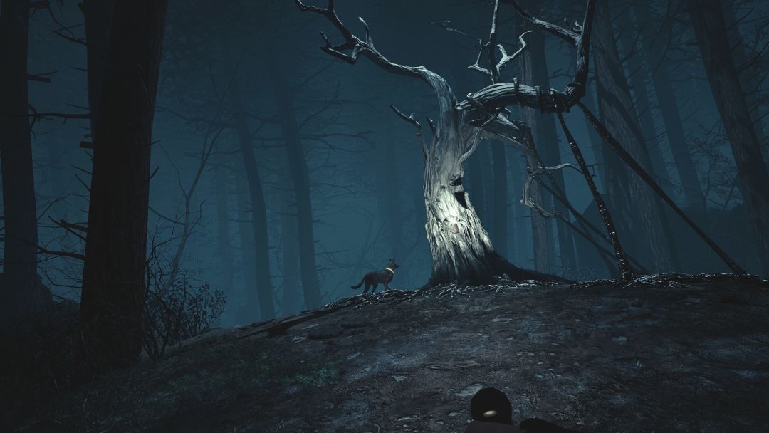 Blair Witch VR游戏截图
