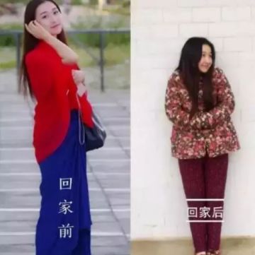 春节回家的游戏社交场：《虫虫物语》让你从青铜“飞升”到王者