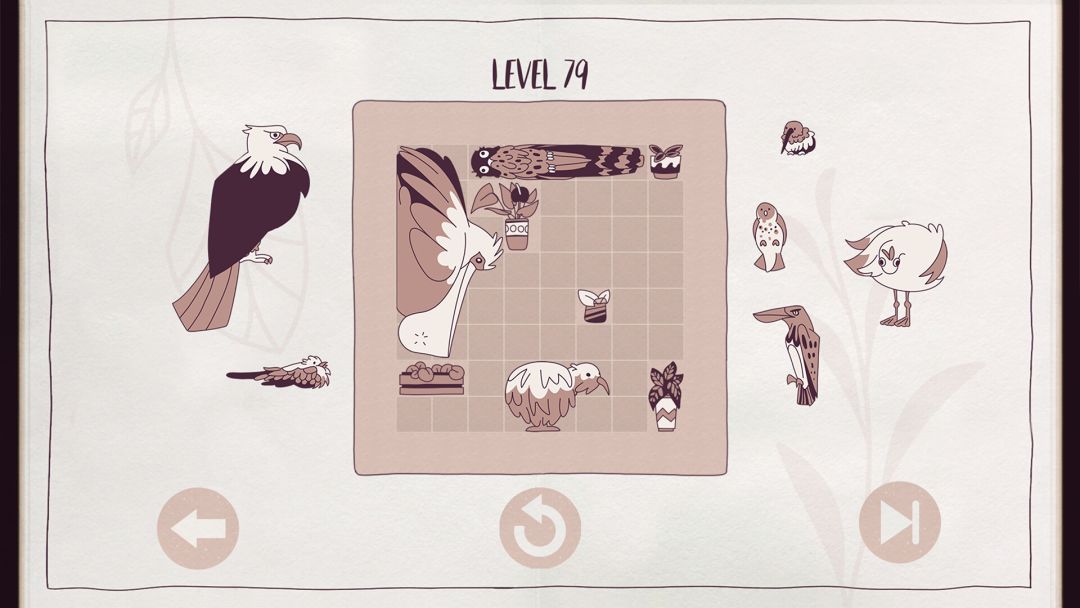 Birds Organized Neatly游戏截图