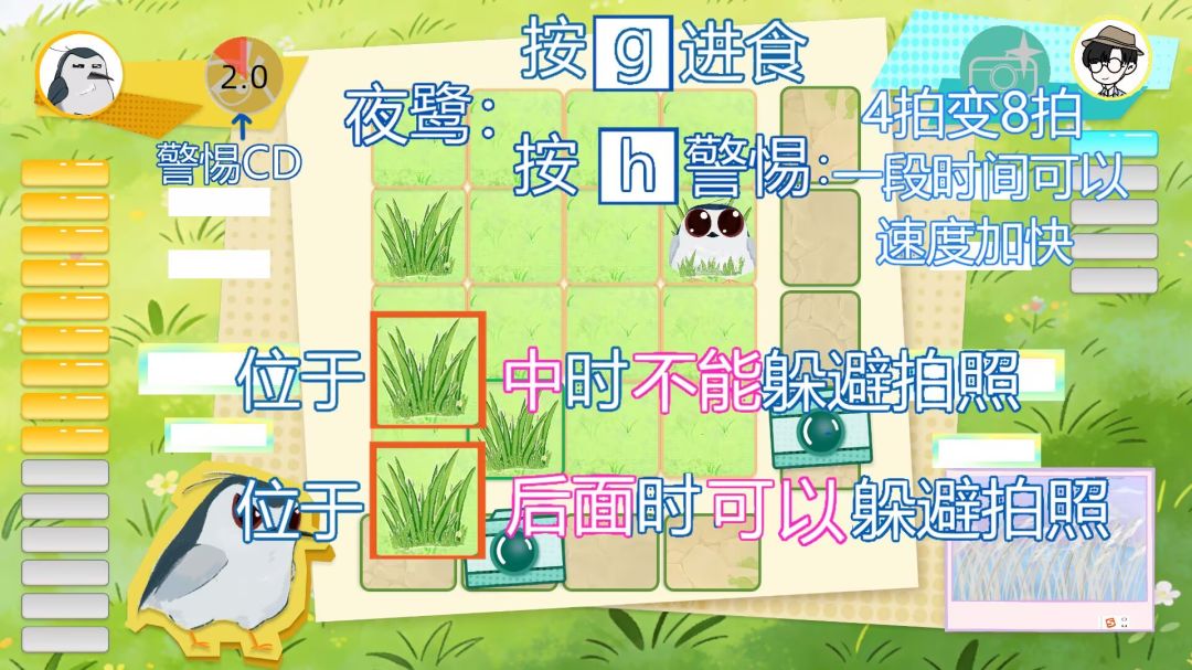 节奏观鸟Bird Must Masked游戏截图