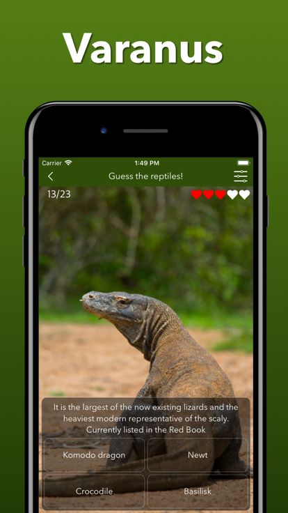 动物园之星 - 动物派对 - 动物模拟器 - 可爱游戏游戏截图