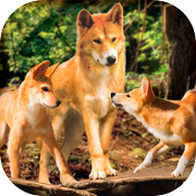 Wild Dingo Dog Survival Simulator 3D