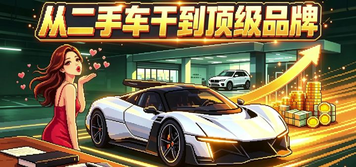从二手车干到顶级品牌 封面