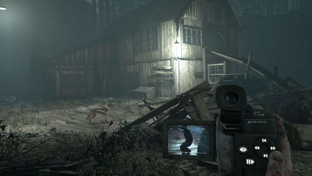 Blair Witch VR游戏截图