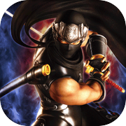 忍者龙剑传 大师合集