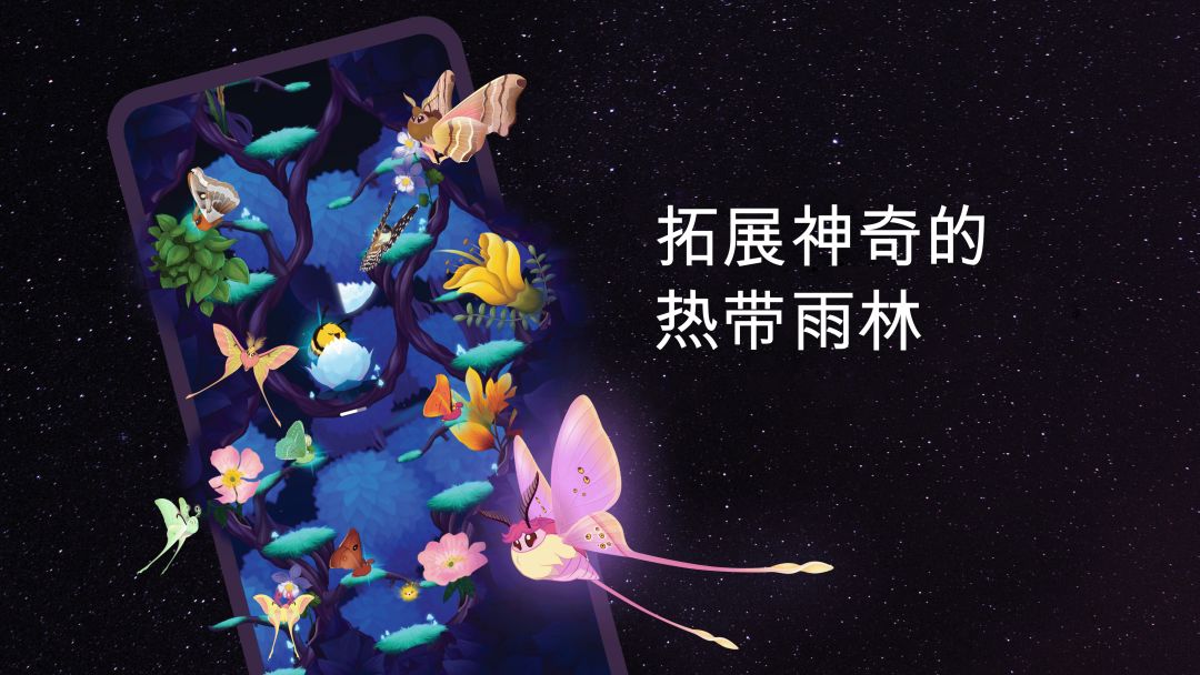 彩翼之星夜游戏截图