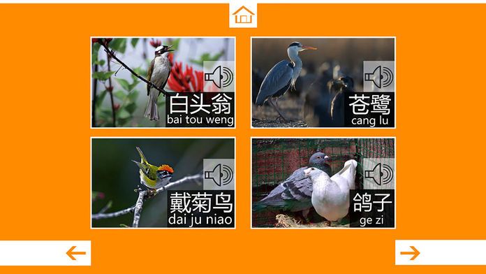 动物叫声-鸟类篇：动物园世界的叫声游戏游戏截图