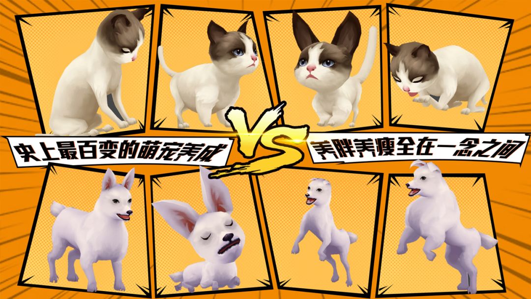 宠物天团游戏截图