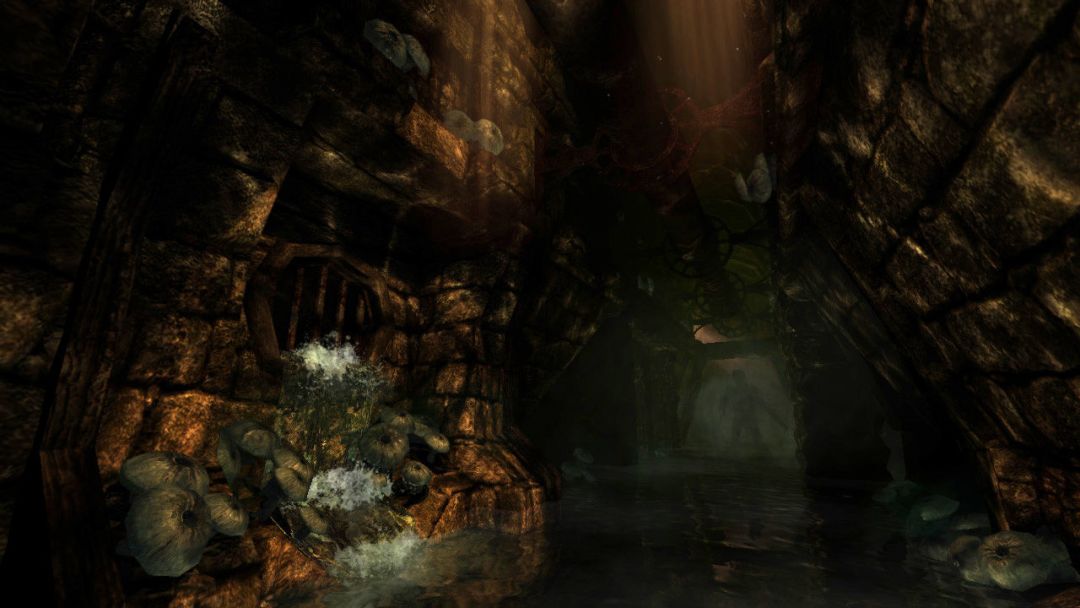 Amnesia: The Dark Descent游戏截图