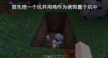 还在云养猫？《我的世界》能帮你完成养猫梦！