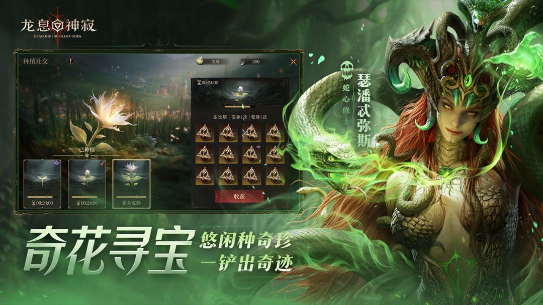 龙息：神寂游戏截图