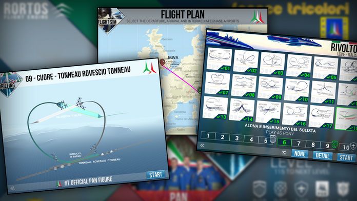 Frecce Tricolori FS Pro游戏截图