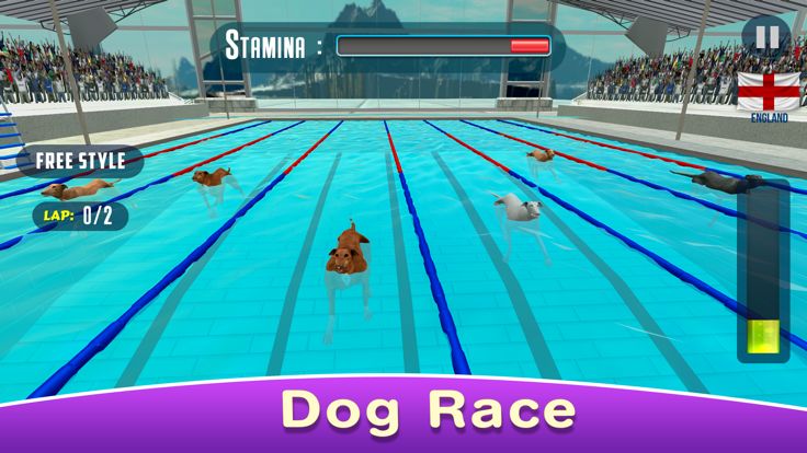 Dog Swimming Race游戏截图