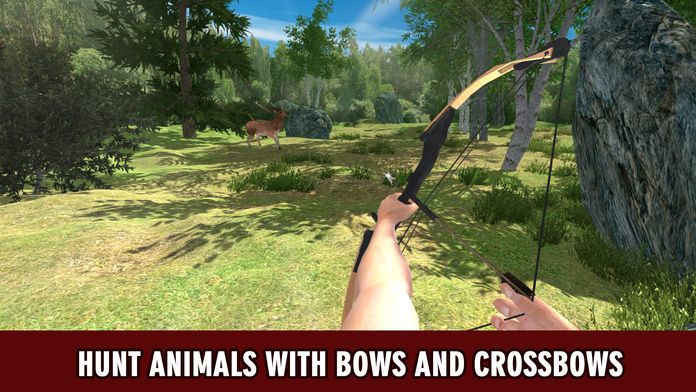Wild Animal Hunting: Archery Shooter Full游戏截图