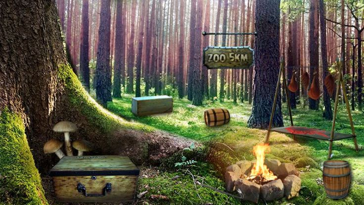 Escape Game: Hunter Escape游戏截图