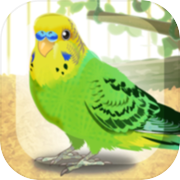 治愈的鹦鹉育成游戏icon