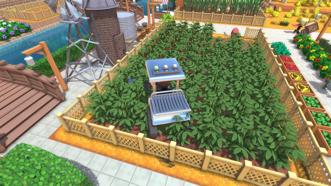 金垦小镇游戏截图