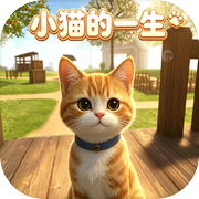 小猫的一生