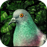 Pigeon: A Love Storyicon