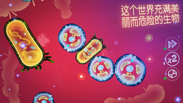 微观的世界---细菌生存游戏截图