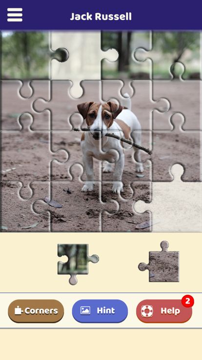 Jack Russell Puzzle游戏截图
