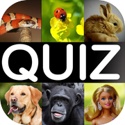 What is it? the funny picture quiz game!