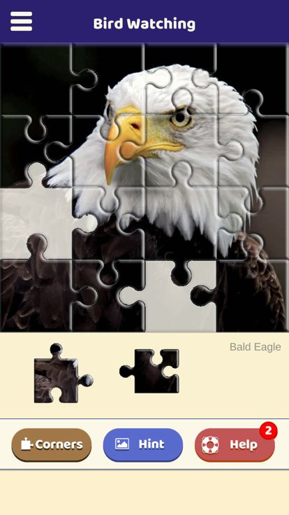 Bird Watching Puzzle游戏截图