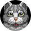The Cat! Porfirio's Adventureicon