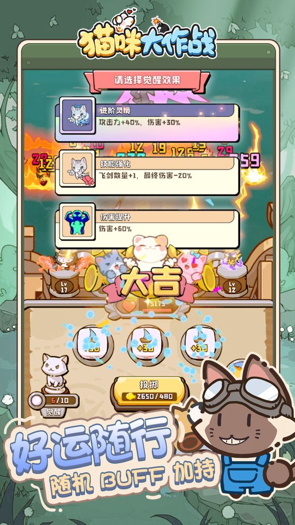猫咪大作战游戏截图