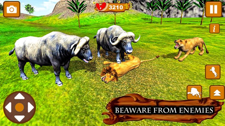 Lion Family King Simulator游戏截图