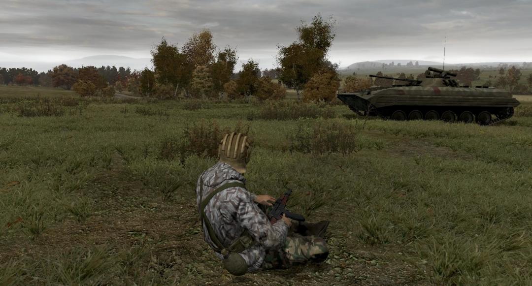 Arma 2游戏截图